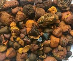 Top quality ox gallstones/cattle gallstones/animal gallstone for sale