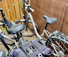 Partij Flyer Fietsen Elektrische met Van Raam Balance Damesfiets in een deal €2900