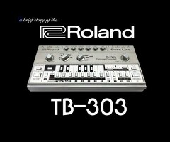 Roland TB-303 Bass Line Synth VST Plugin 2025