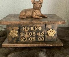 Franse Buldog met of zonder vleugels als set te koop