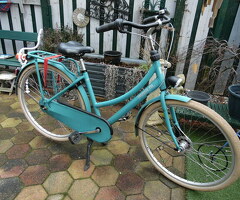 Oma fiets   ( Merk Gazelle ) .