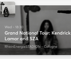 Kendrick Lamar & SZA Köln stehplatz 1x