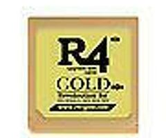 r4 gold DS