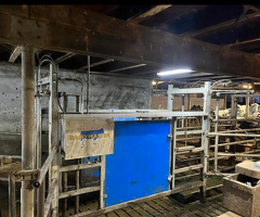 Dairymaster 22 stands swingover melkstal