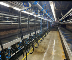 Dairymaster 22 stands swingover melkstal
