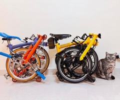 Vouwfietsen Gezocht Gevraagd van Brompton met 6 of meer Versnellingen
