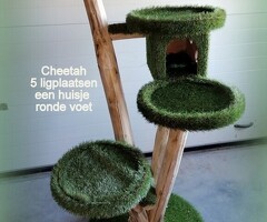 www.acatscastle.nl