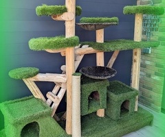 www.acatscastle.nl