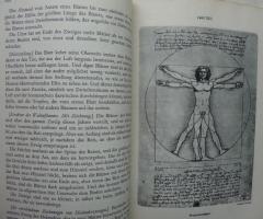 Leonardo da Vinci - Tagebücher und Anzeignungen - 2